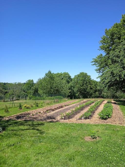 Les Jardins Des 3 Provinces- Gite Montcharvot エクステリア 写真