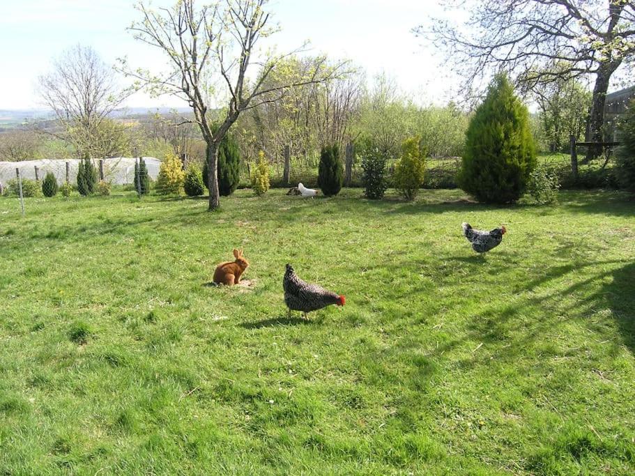 Les Jardins Des 3 Provinces- Gite Montcharvot エクステリア 写真