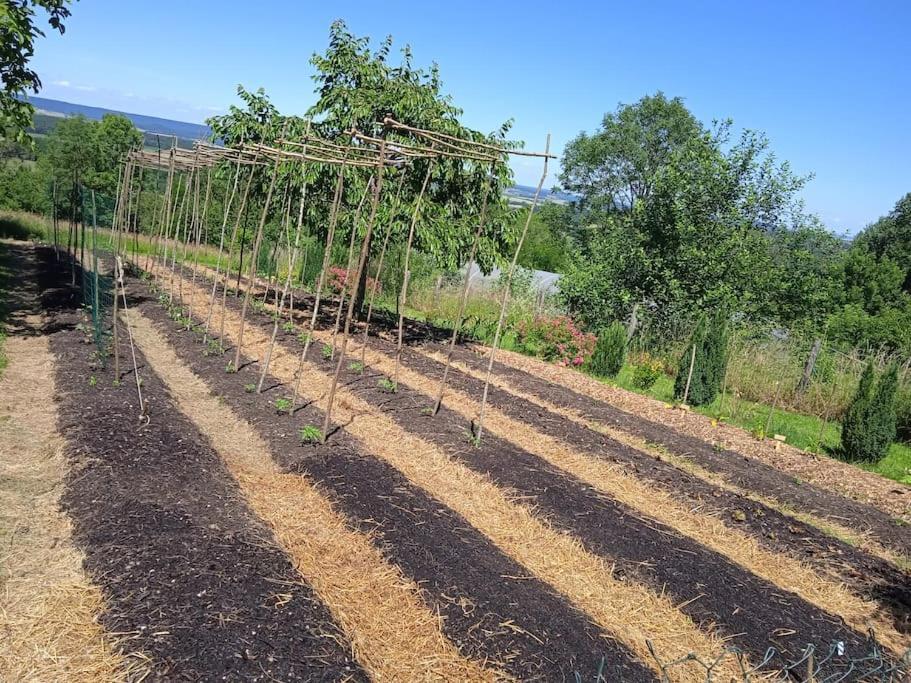 Les Jardins Des 3 Provinces- Gite Montcharvot エクステリア 写真