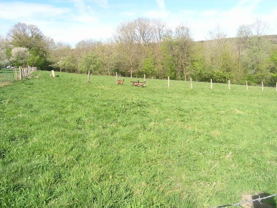 Les Jardins Des 3 Provinces- Gite Montcharvot エクステリア 写真