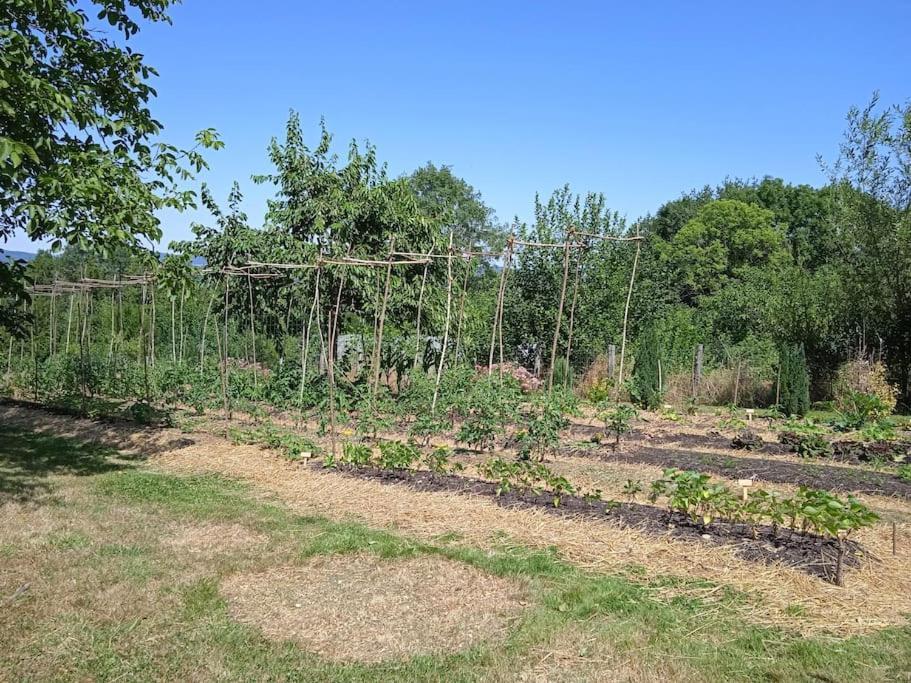Les Jardins Des 3 Provinces- Gite Montcharvot エクステリア 写真