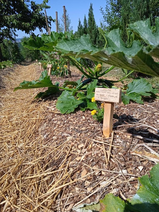 Les Jardins Des 3 Provinces- Gite Montcharvot エクステリア 写真