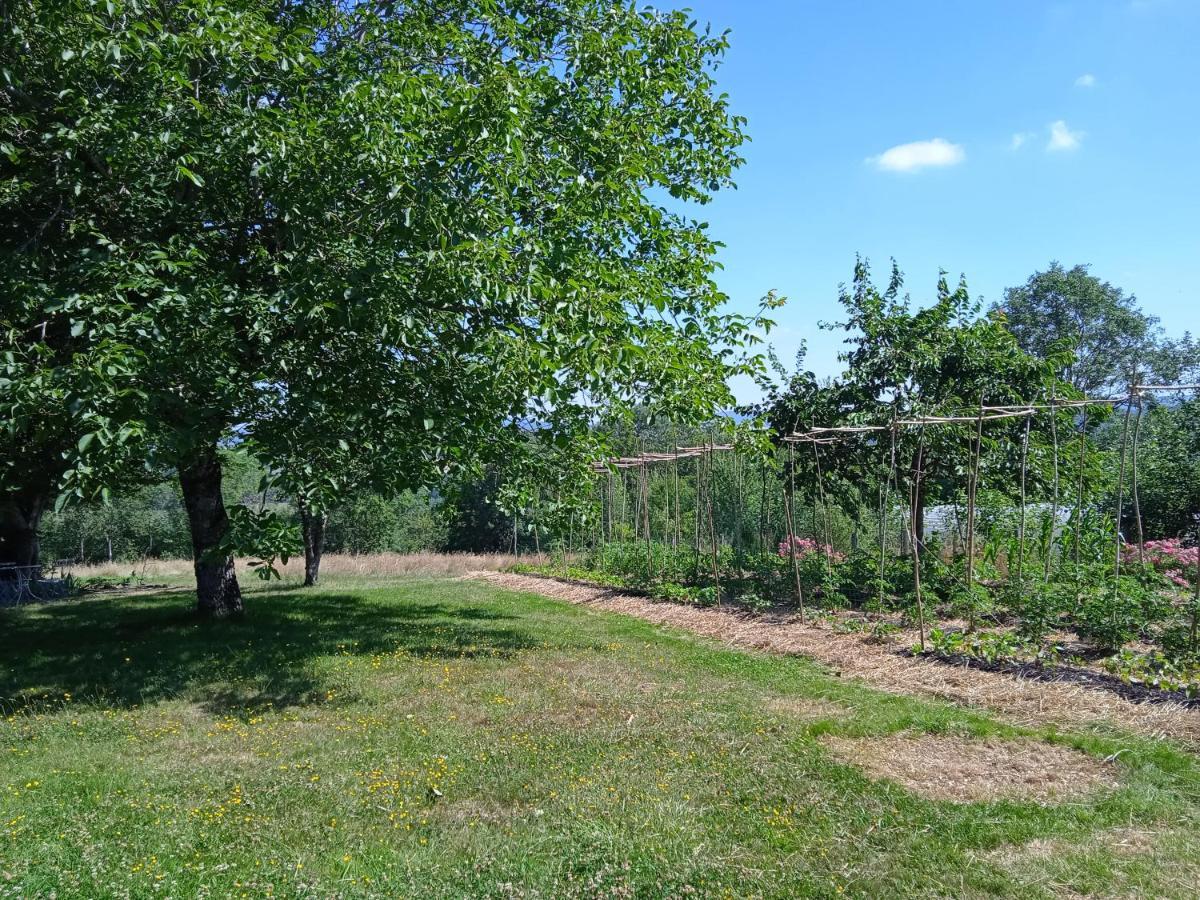Les Jardins Des 3 Provinces- Gite Montcharvot エクステリア 写真