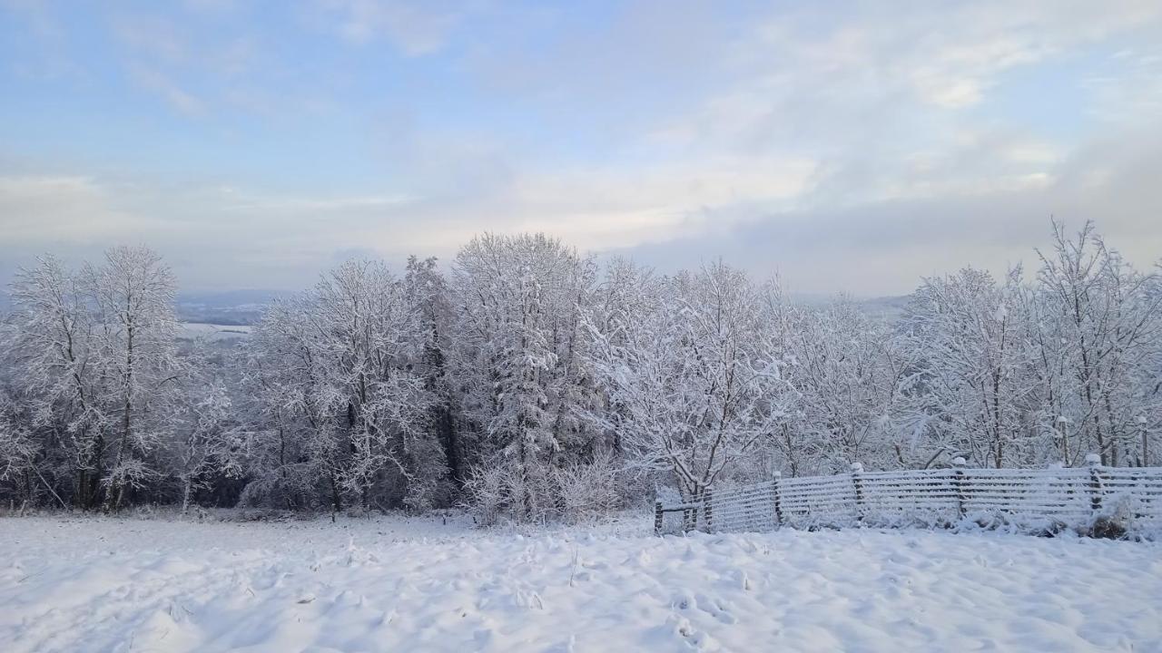 Les Jardins Des 3 Provinces- Gite Montcharvot エクステリア 写真
