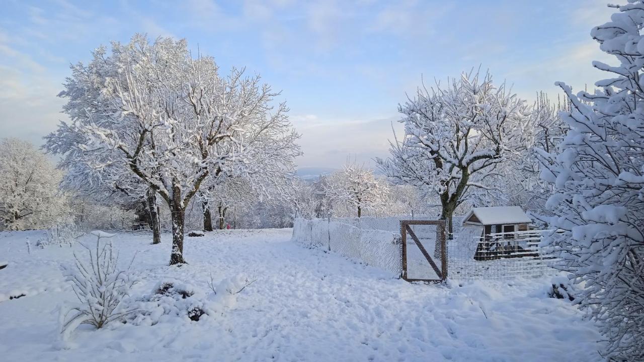 Les Jardins Des 3 Provinces- Gite Montcharvot エクステリア 写真